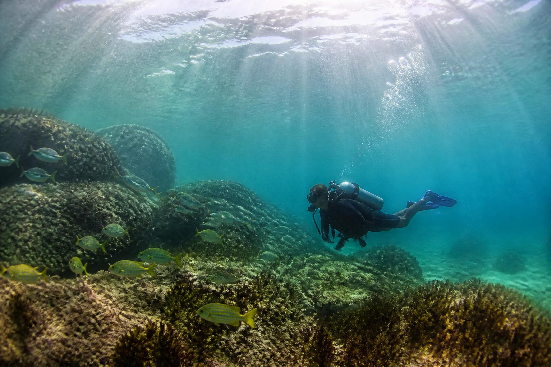 Buceo en Búzios